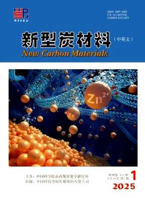 新型炭材料(中英文)