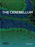 CEREBELLUM