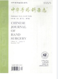 中華手外科雜志