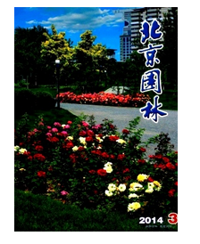 河南政工類評審要求有哪些