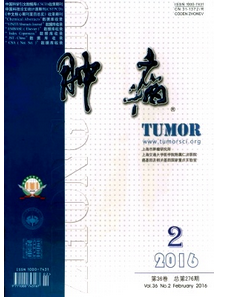 腫瘤醫學雜志在論文資料上有什么準備措施呢