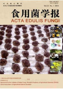 食用菌學報