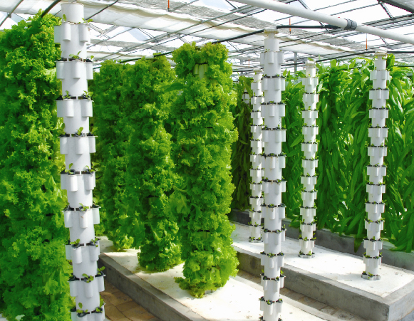 農業技術論文發表新應用