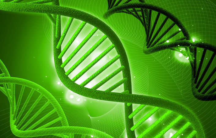 生物教學(xué)論文發(fā)表