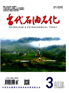 我國石油能源新建設(shè)發(fā)展狀況