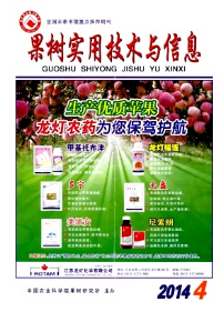 蘋果種植管理新技術模式發展