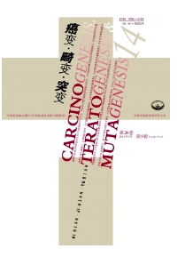 鼻咽癌新治療管理作用制度