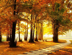 林業地區的新科技發展戰略模式