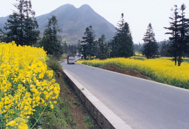 現(xiàn)在農(nóng)村交通制度管理的新發(fā)展方向