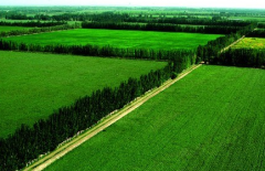 林業改革發展的新制度措施及影響