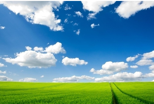 草原生態應用管理新制度