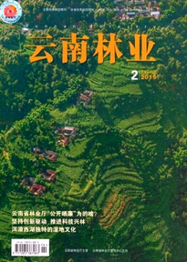 林業科技新倡議方針技巧