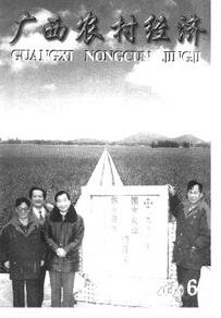 廣西農(nóng)村經(jīng)濟(jì)論文創(chuàng)作事項有哪些呢