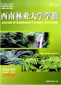 林業少耕法栽培技術新技巧應用