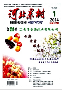 河北果樹征稿