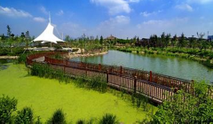 論述當前濕地園林建設的新發展模式及意義