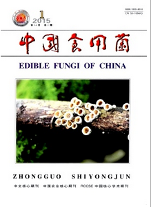 中國食用菌雜志征稿