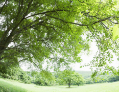 林木教學改革管理新措施