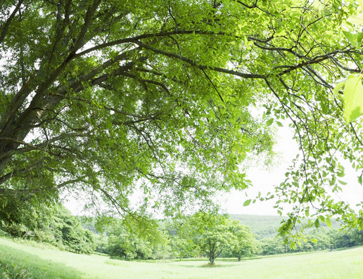 林木教學改革管理新措施