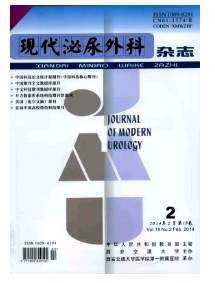 體外沖擊波碎石和輸尿管鏡碎石新治療作用