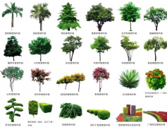 礦區中綠化發展的林業科技制度