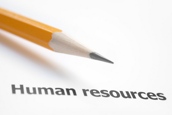 人力資源的新建設應用發展狀況