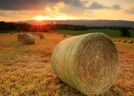 地理教學建設新發展方向