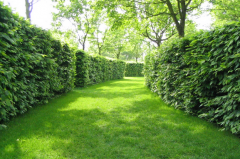 園林藝術建設的新管理方案有何應用模式