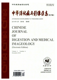 中華消化病與影像雜志(電子版)