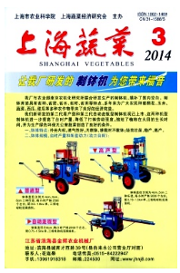 上海蔬菜