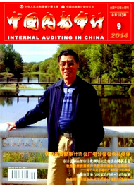 中國內(nèi)部審計