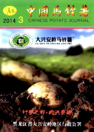 中國馬鈴薯