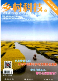 鄉村科技征稿