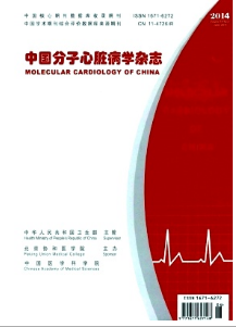 中國分子心臟病學雜志