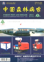 中國森林病蟲