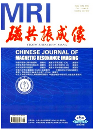 磁共振成像論文投稿格式