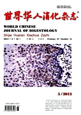 世界華人消化雜志
