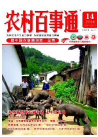 農村百事通投稿