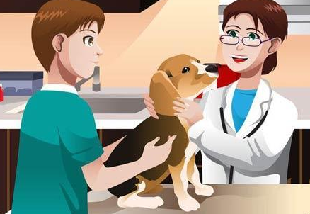 正確認識動物防疫體系的創新應用技巧