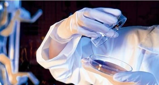 生物醫(yī)學(xué)應(yīng)用論文格式