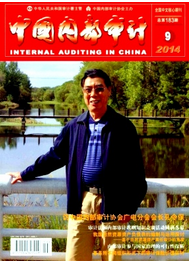 審計建設管理子公司中的應用措施