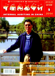 企業內部審計新制度應用倡議模式