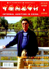 行政事業單位內部審計新建設發展管理措施