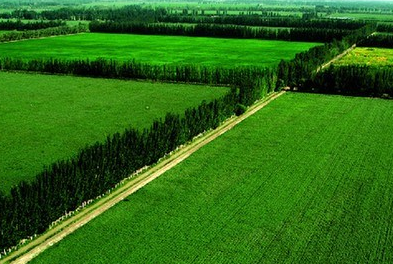 簡(jiǎn)析當(dāng)前思想道德中法律建設(shè)應(yīng)用的新技巧