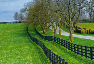 當前綠化環境保護的新發展應用措施