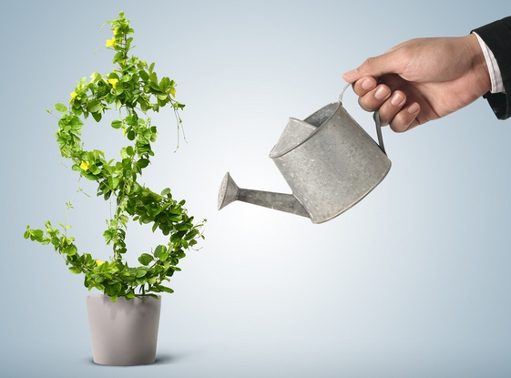 金融監管制度的新發展模式有哪些技巧