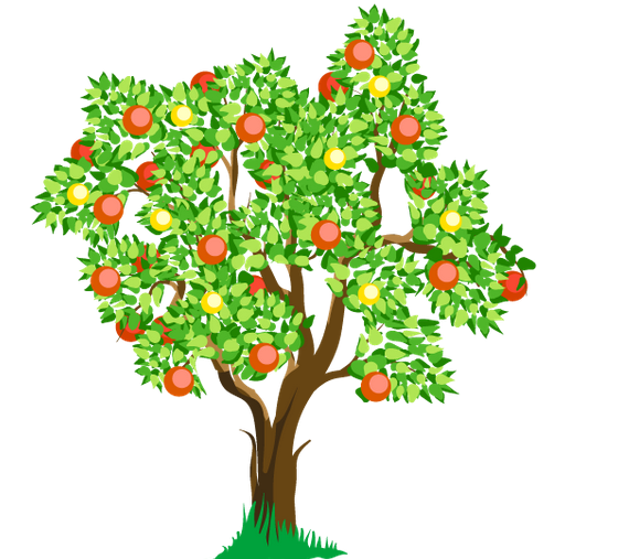 果樹栽培管理的新創新技術有何意義