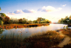 園林景觀規劃的新設計方案影響