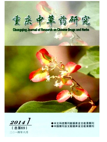 2016年重慶中醫藥師評審資格