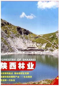 縣區林業新改革發展方向制度